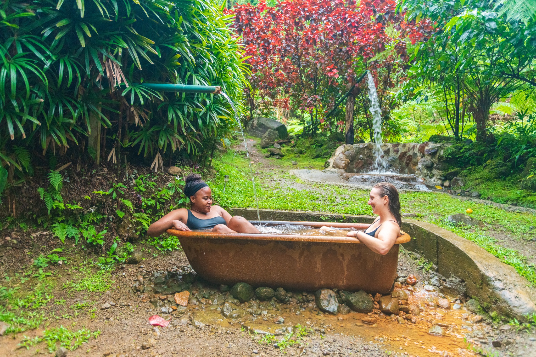 Hot springs, flowers everywhere, and... - Discover Dominica | Facebook