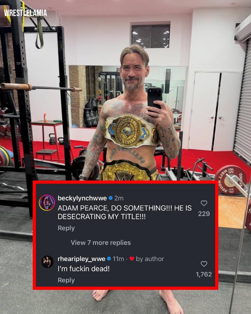 Wrestlelamia.com - LMAOOO sorry Becky Lynch but the title has Punk’s ...