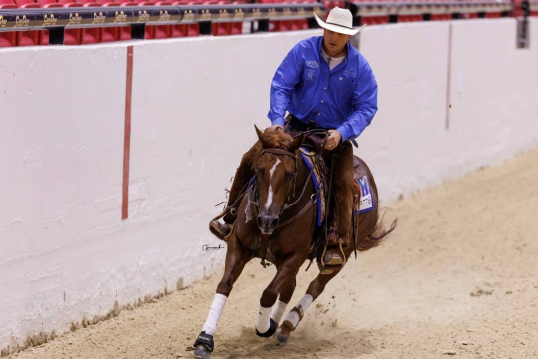 Booth Ranches - Horse Division - We are excited to welcome this ...