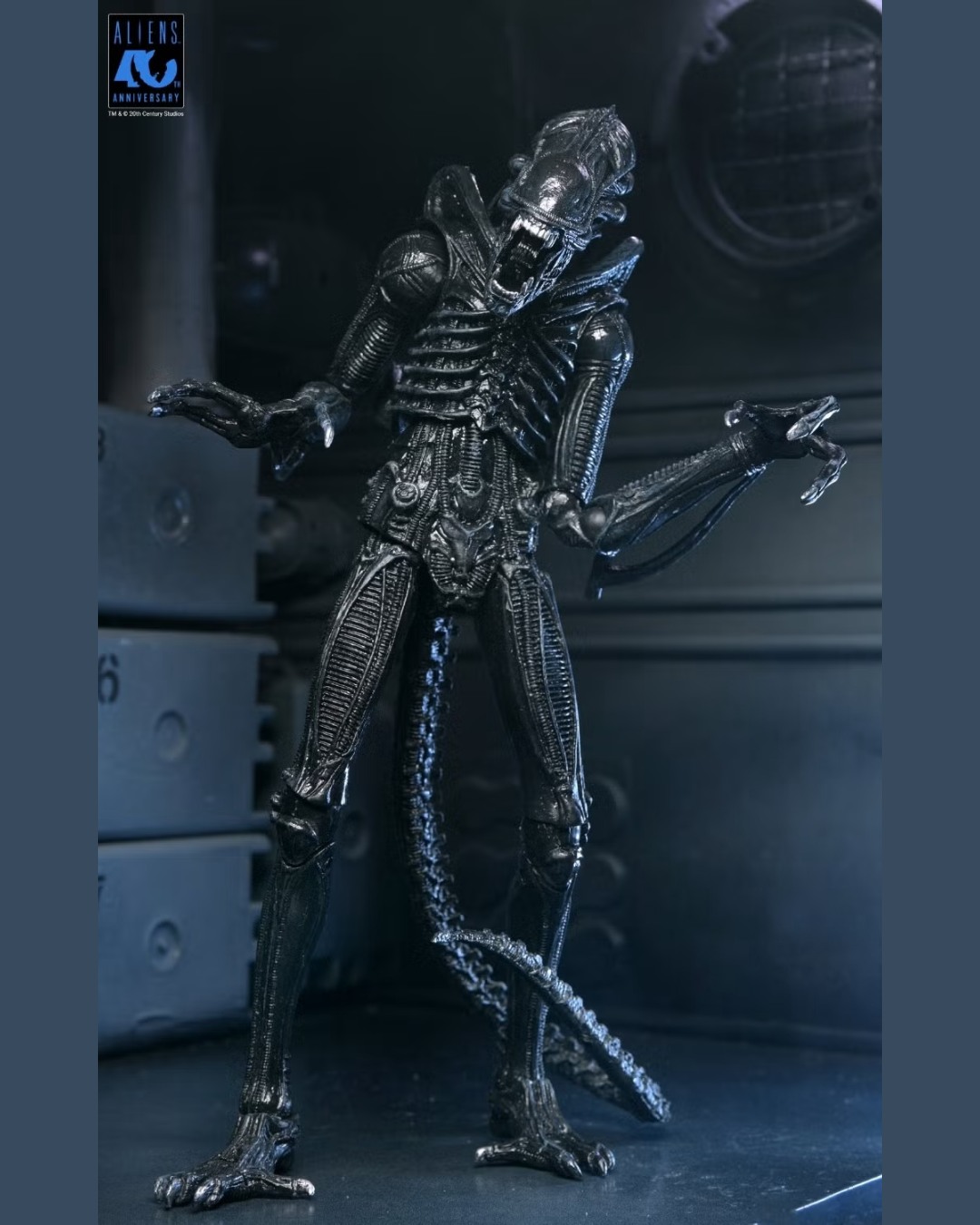New NECA Collection, available to pre-order now! #preorder #zavvi