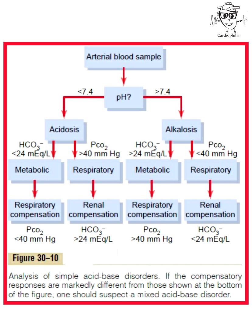 Cardiophilia - 🔥 The ABG Interpretation Mnemonic Every Medico Should ...