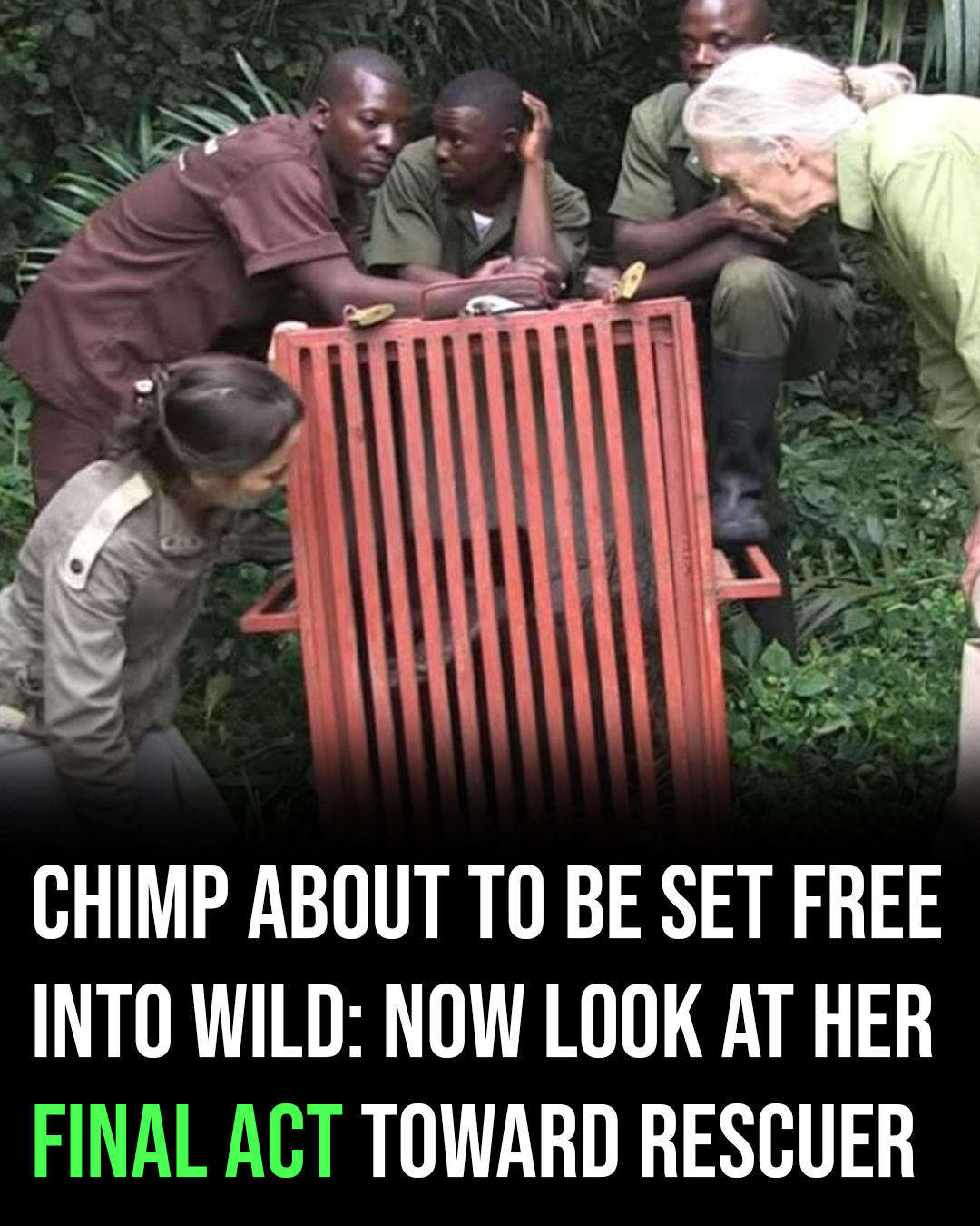 We Love Animals - Her final act toward rescuer is... | Facebook