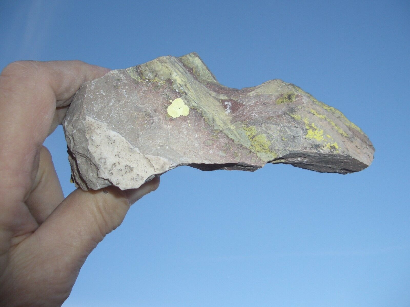 ATOMIC BUGGIE - ---HOT ROCK OF THE DAY--- JURASSIC... | Facebook