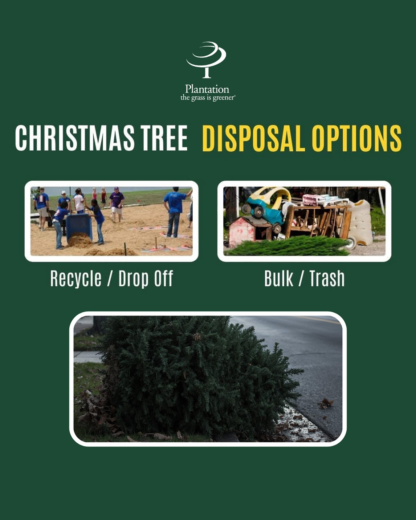 🎄 Christmas Tree Disposal... - City of Plantation Florida | Facebook