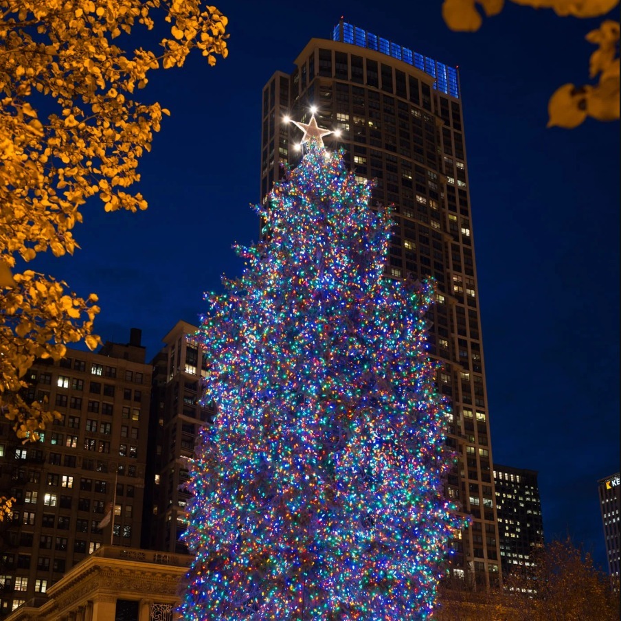 Women's - 🎄 Millennium Park Christmas Tree Lighting 🎄 Friday, November ...
