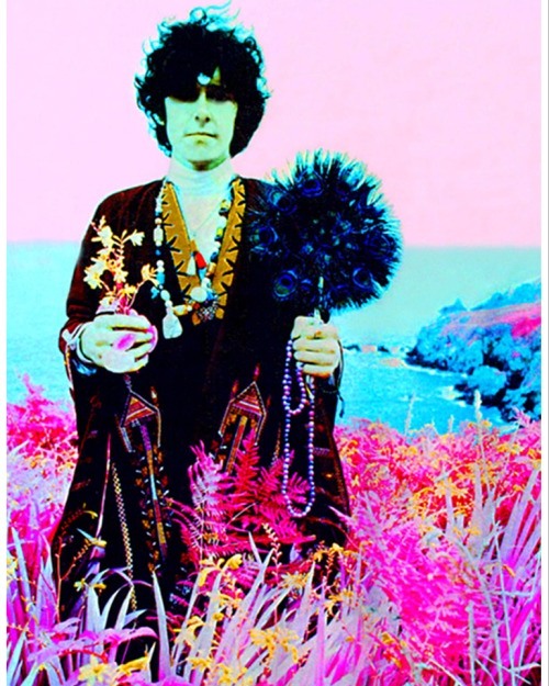 Donovan - A Gift From a Flower To a Garden 1967.