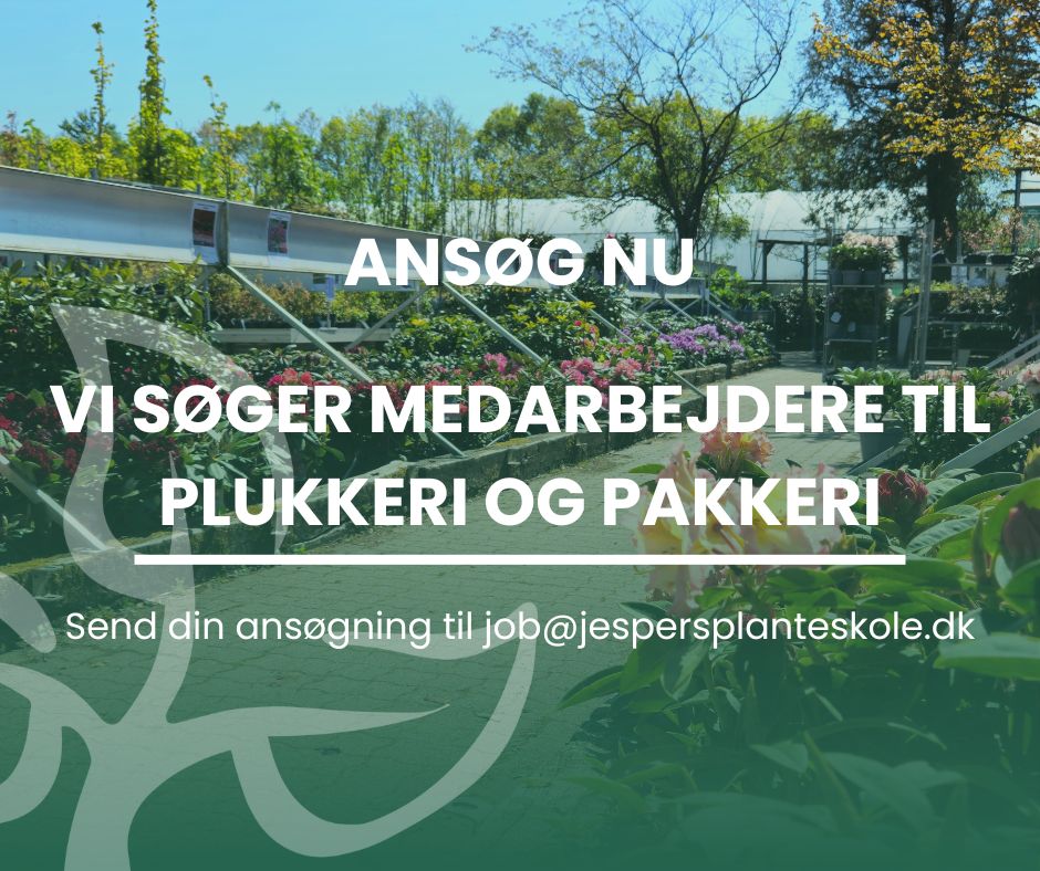 jespers-planteskole-holstebro