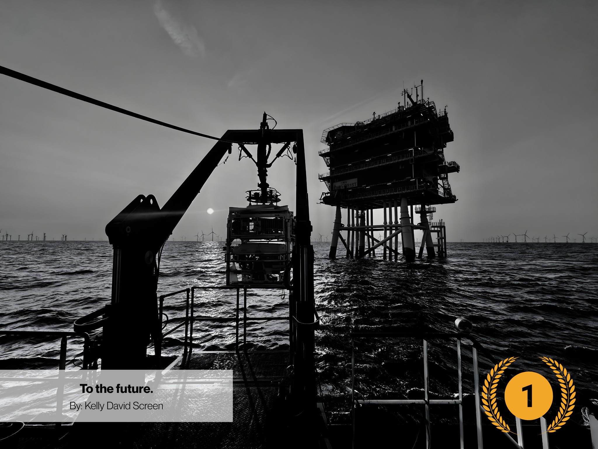 📸 Announcing the winners of... - Marine Technology Society | Facebook