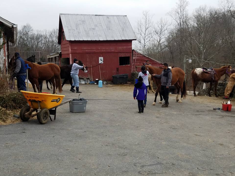 This morning the crew prepped the... - The City Ranch Inc. | Facebook