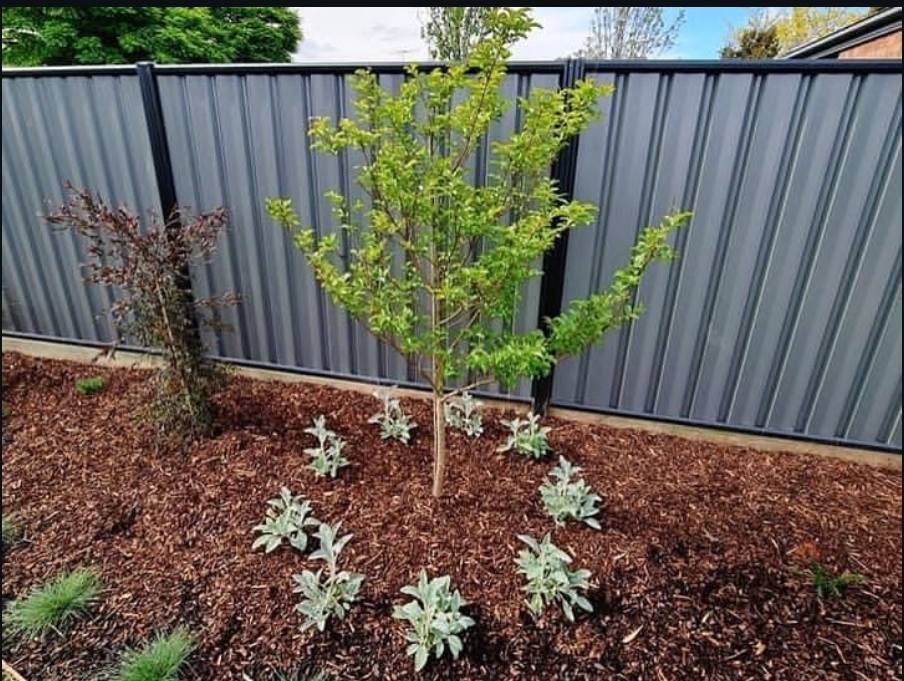 Adam Michael Landscapes added a... - Adam Michael Landscapes
