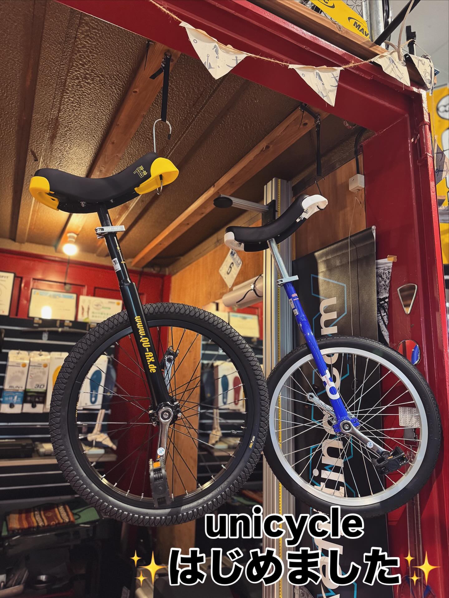 Unicycle 一輪車みたいな自転車 一輪車 ニック Vintage All Original