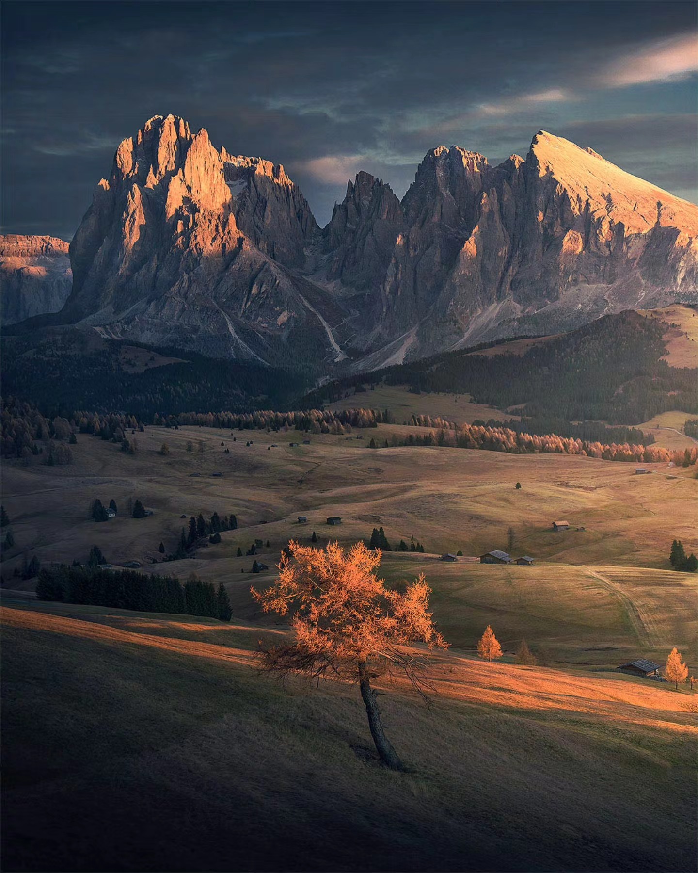 Max Rive Photography added a new... - Max Rive Photography