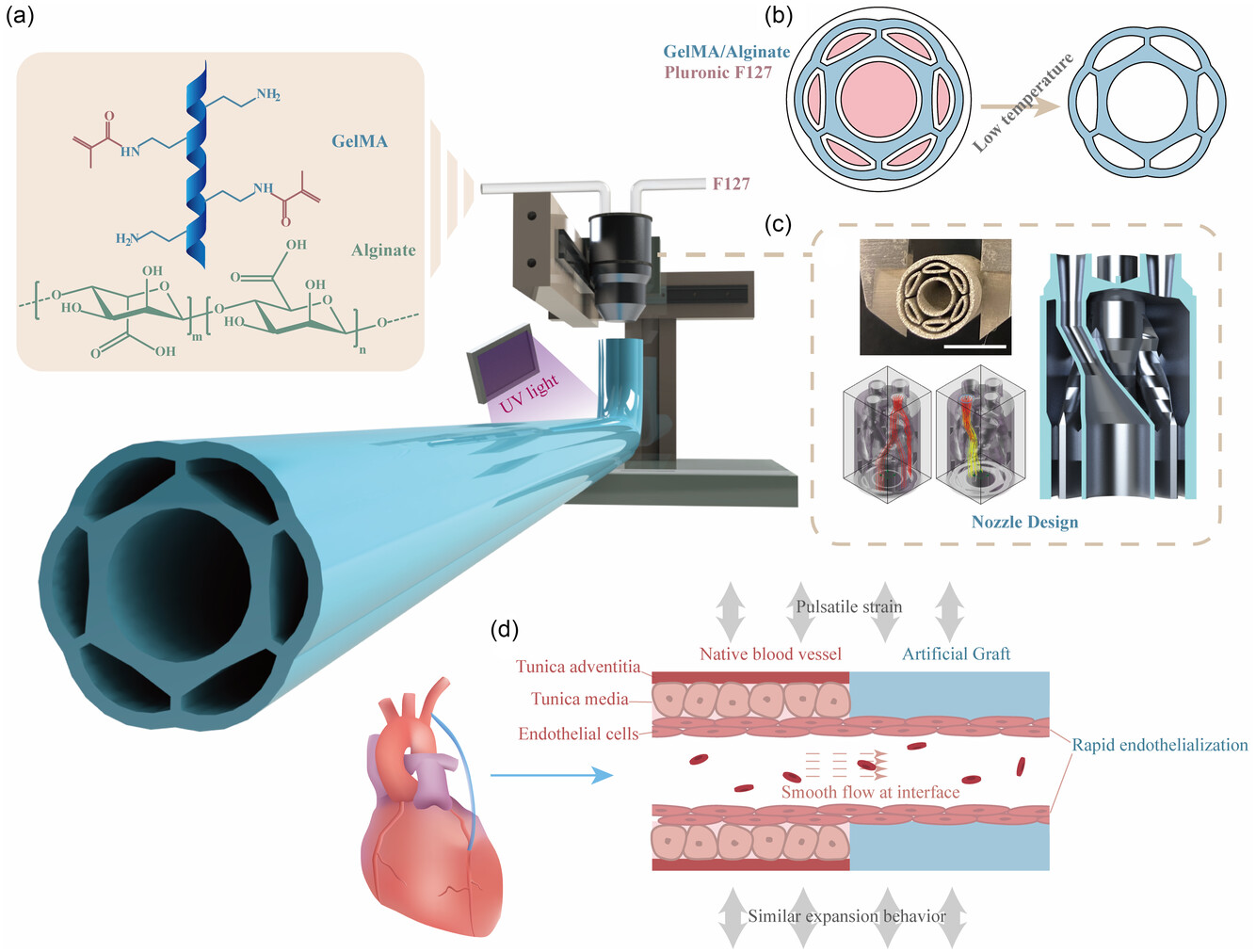 3dheals - ASU researchers 3D printed vascular grafts inspired by ...