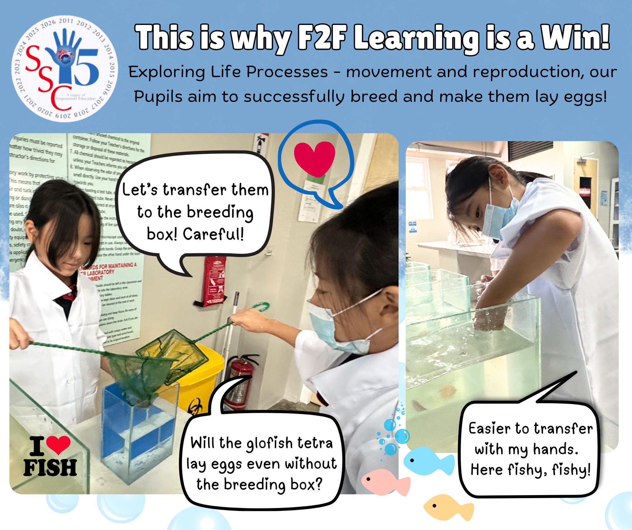 Singapore School Cebu added a new... - Singapore School Cebu