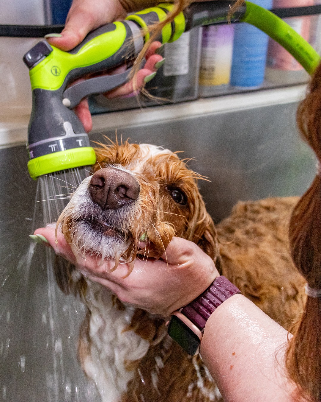 Aussie - Splish splash, pup’s taking a bath 🛁🐾 At Aussie Pet Mobile ...