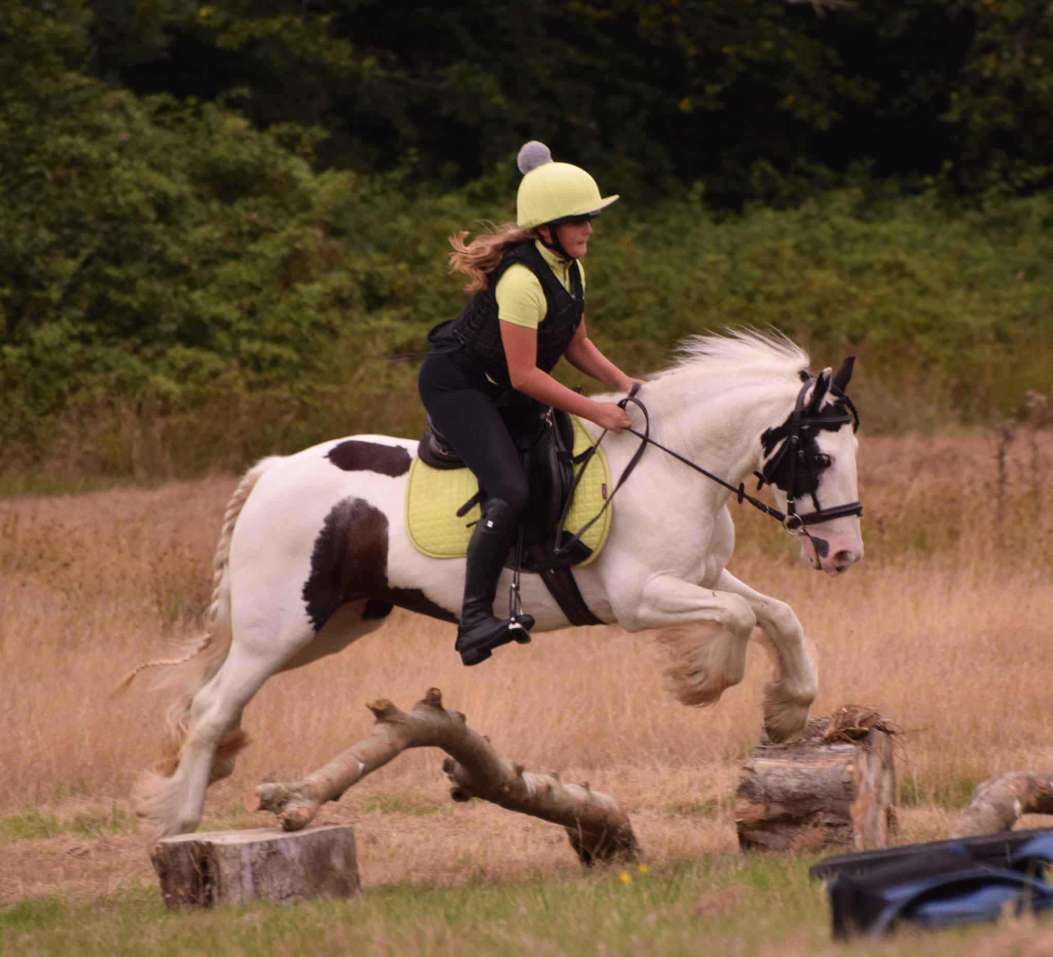 Fairfields Farm Riding School & Livery | Ryde
