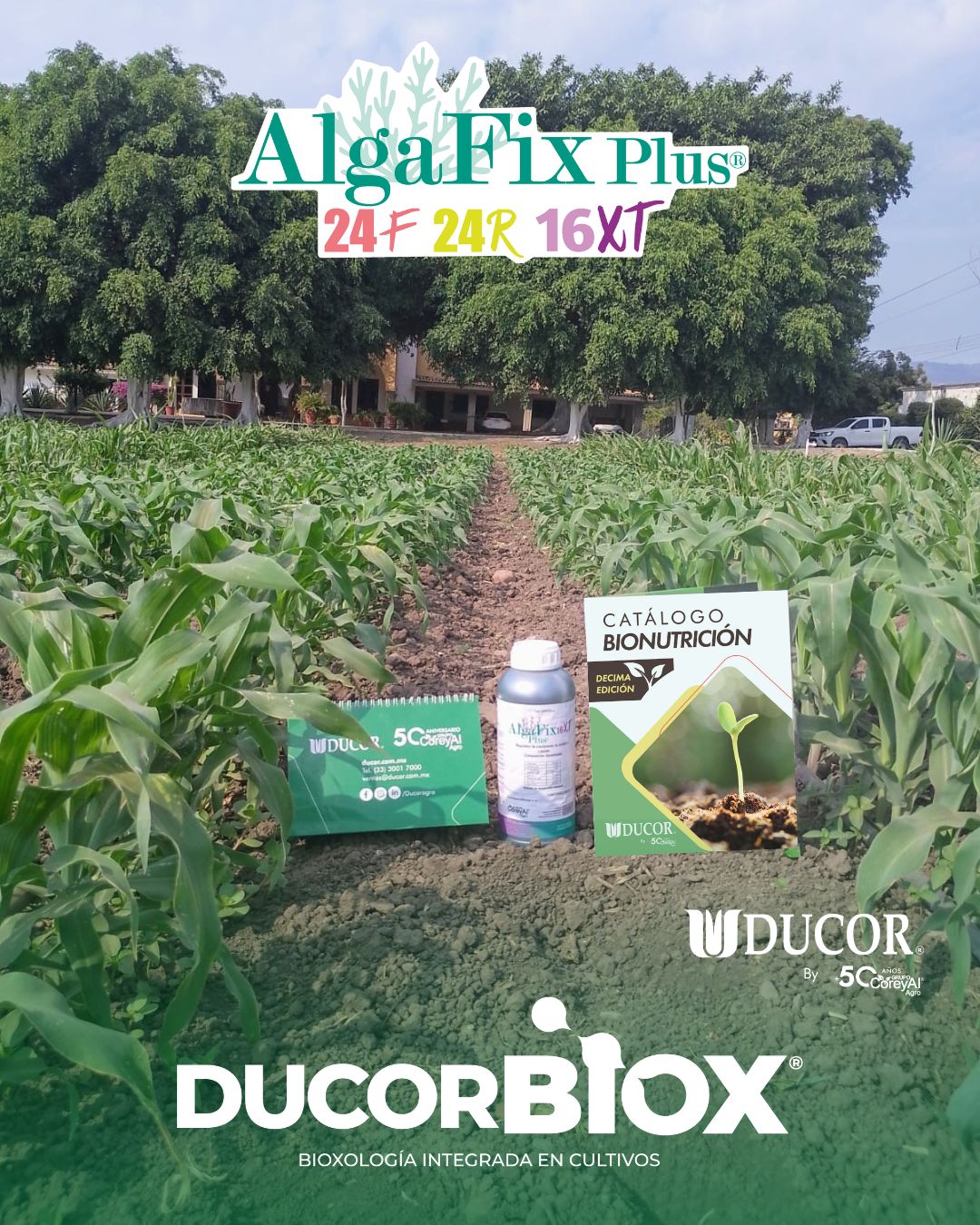 Ducor - Reconocemos la importancia del café y el esfuerzo de quienes lo ...