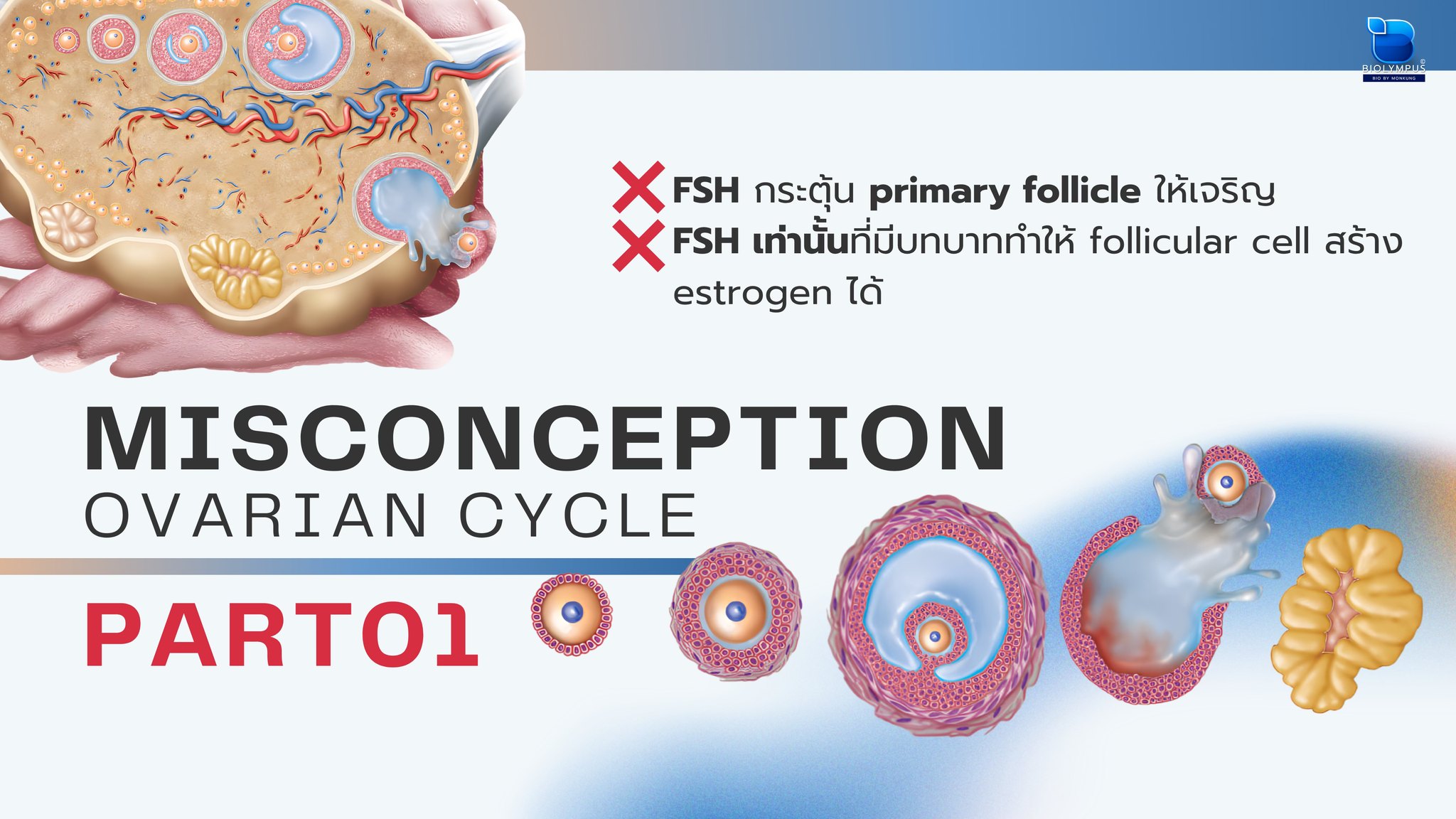BIO by Monkung - MISCONCEPT 01 ในระยะแรกของรอบเดือน FSH... | Facebook