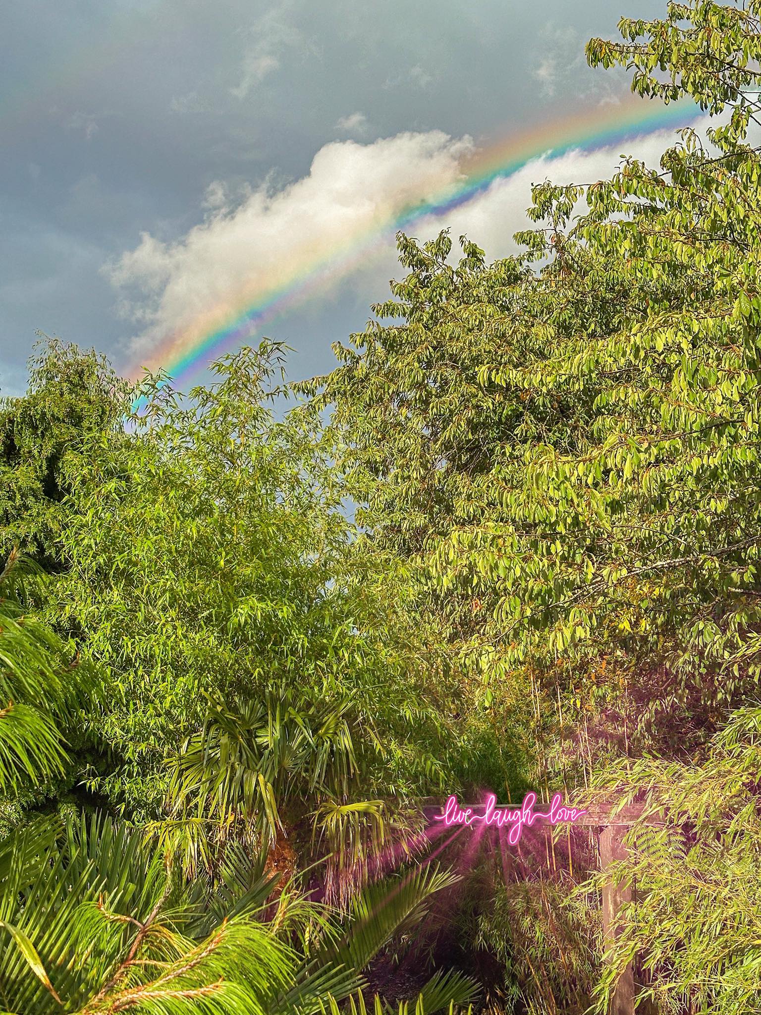 George's - A refreshing heavy downpour and a beautiful rainbow! FIFTY ...