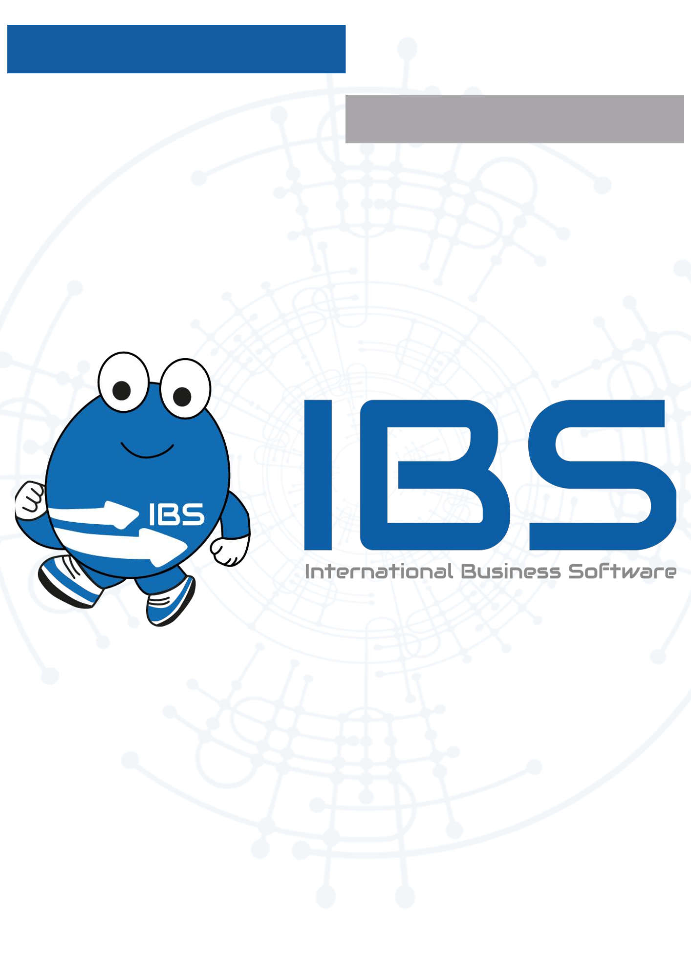 IBS srl | Naples