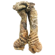 Aughad Baba Kalu Ram