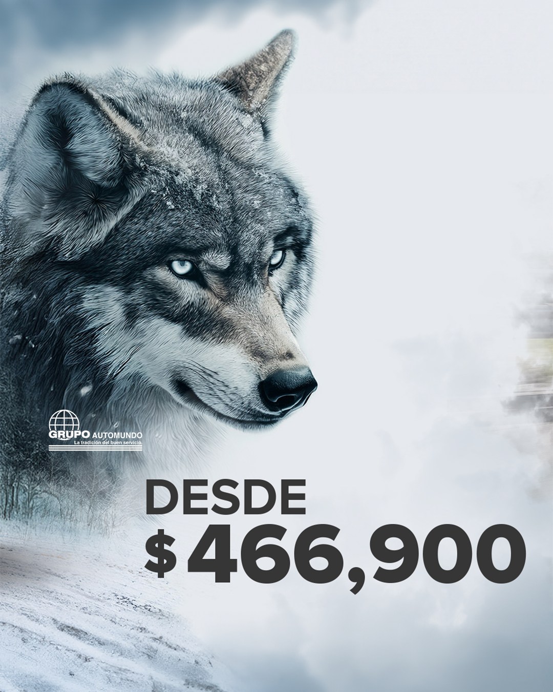 Automundo Interlomas | Huixquilucan