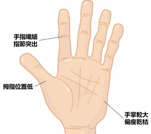 汝來神掌 - #科學手相 #手相 #汝來神掌 #小姜老師 #命理 #手相系統 #木形手 #命理 #人格特質... | Facebook