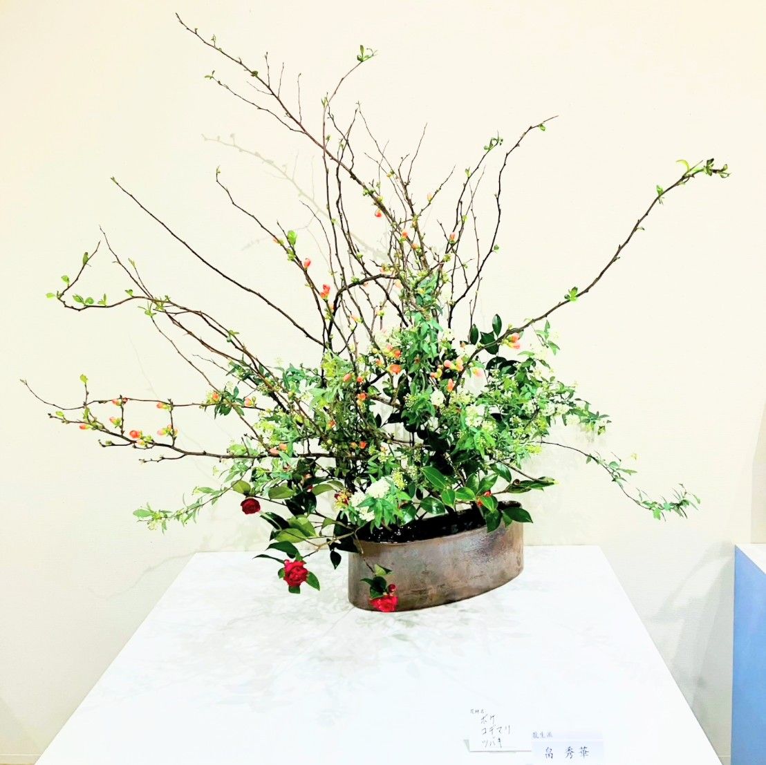 早春いけばな展、前期の龍生派の作品を紹介いたします。 制作=畠 秀華