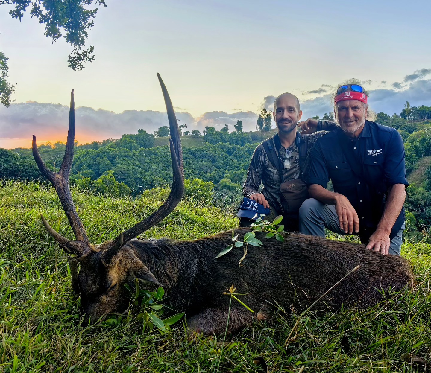 Lionel - First mauritian Rusa stag killed by @jimshockeyofficial and it ...