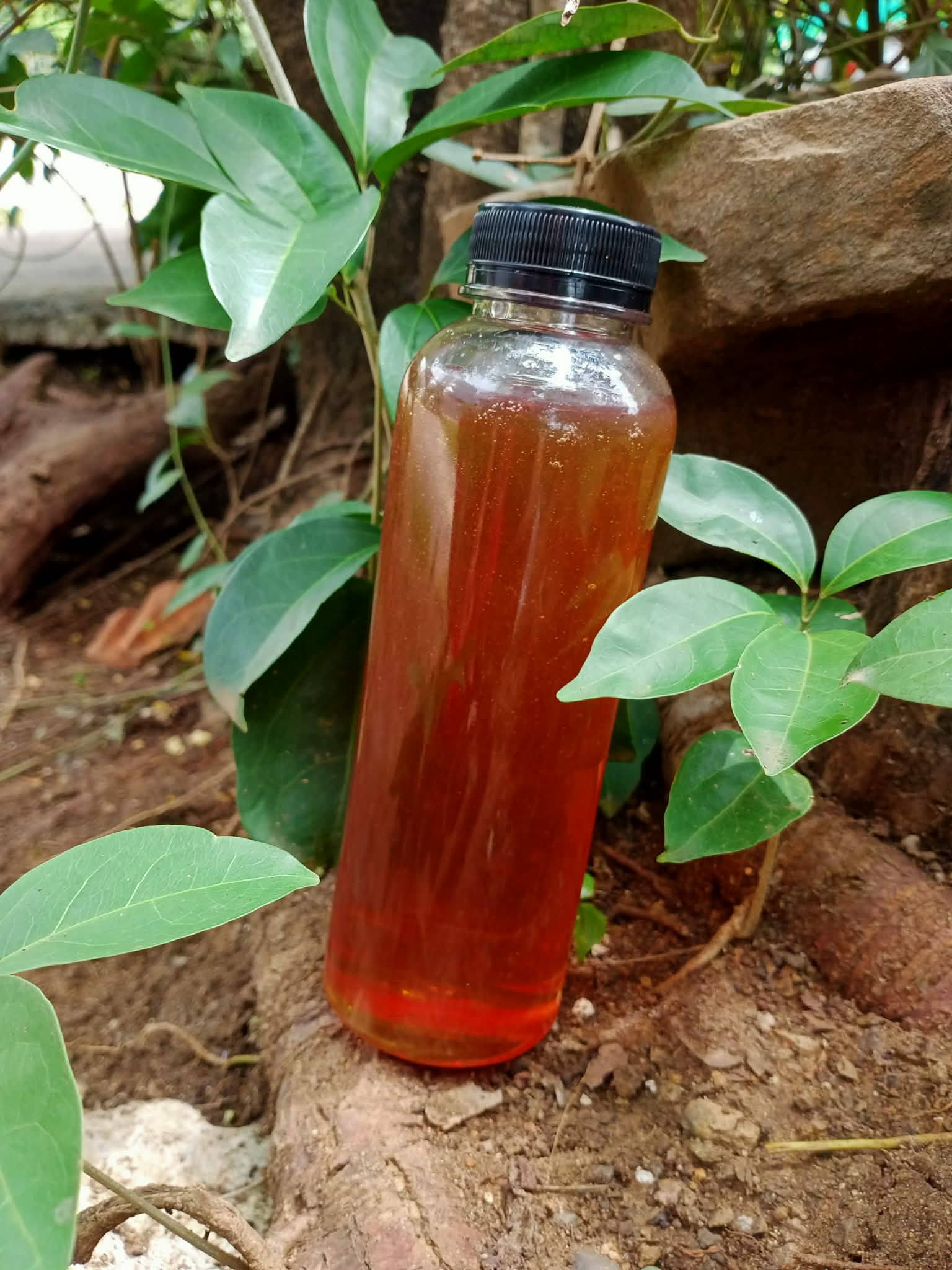លោក មេស្រុក