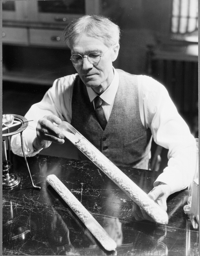Minnesota - In December of 1901, Alexander Pierce Anderson, a botanist ...
