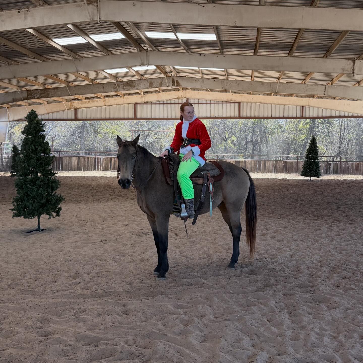 TnT Ranch & Tom Davis... - TnT Ranch & Tom Davis Horsemanship