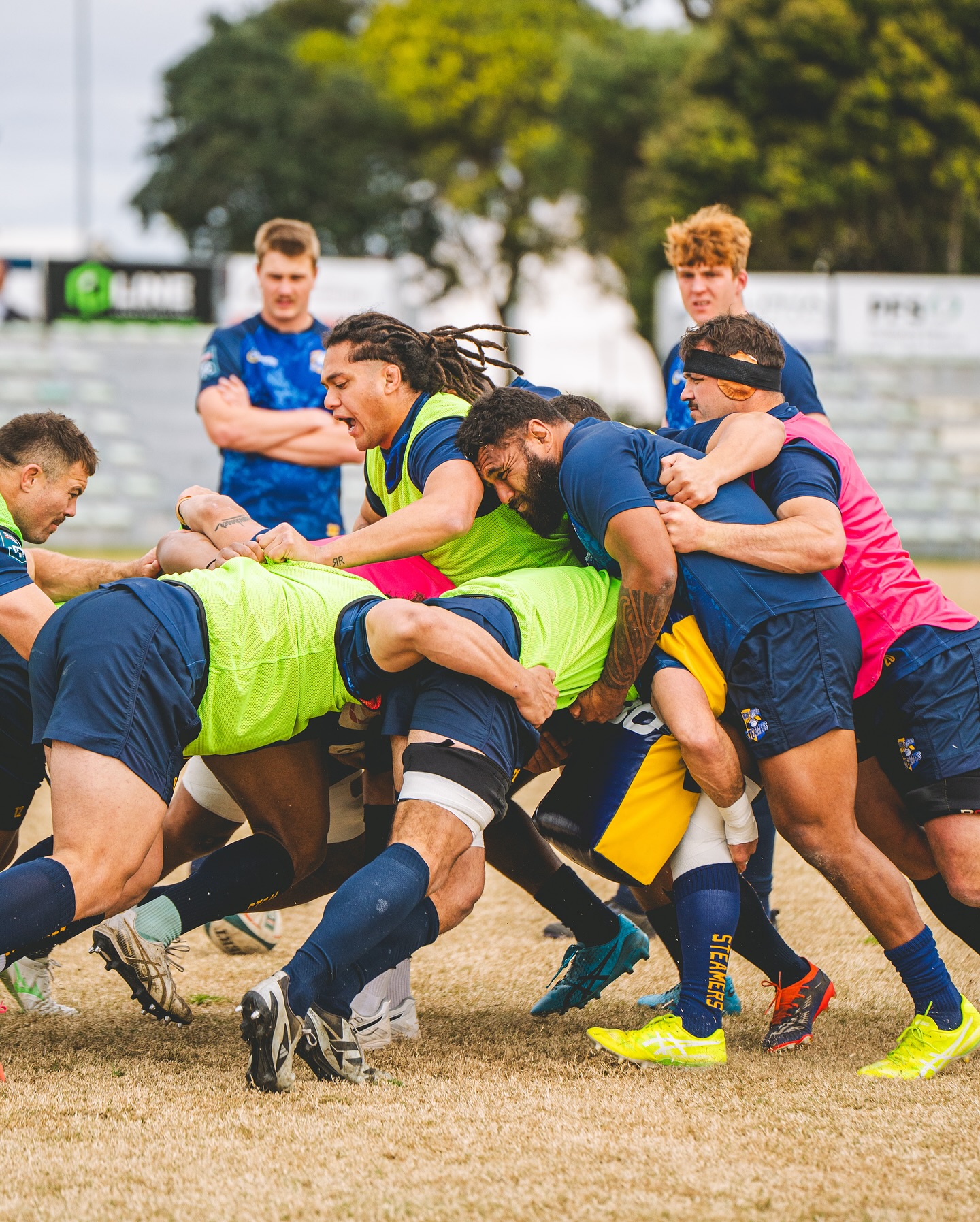 Bay of Plenty Rugby