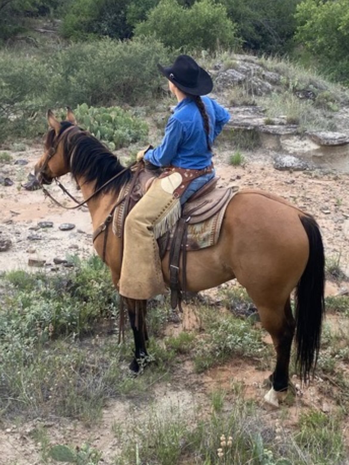 Flag Ranch Enterprises | Colorado City TX