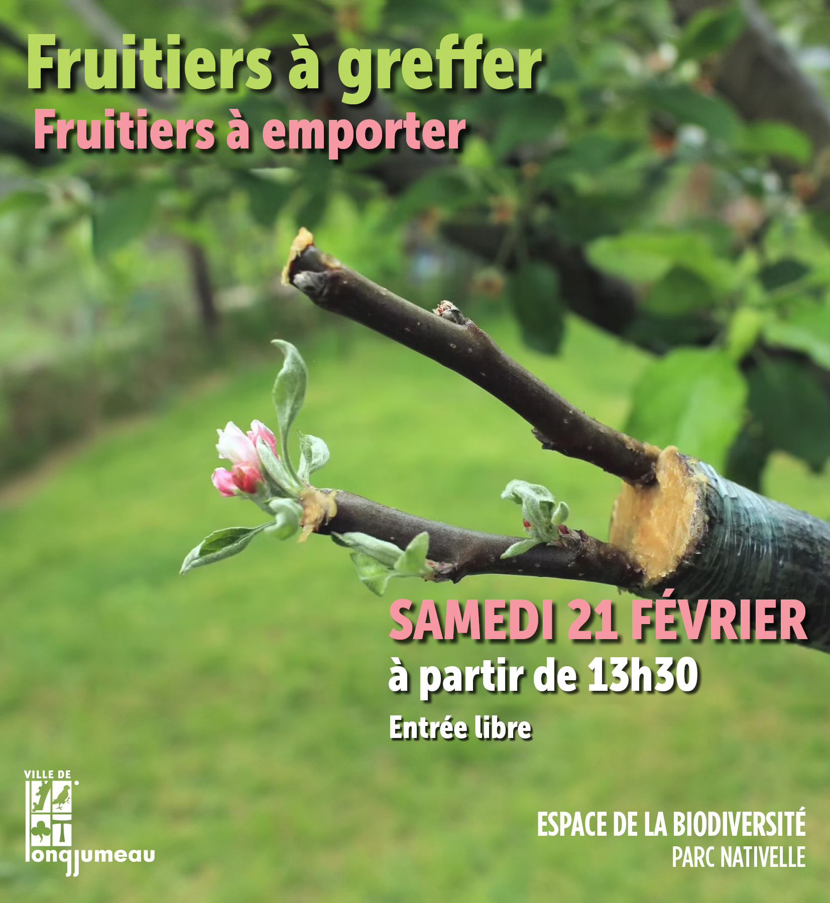 Longjumeau - 𝗕𝗶𝗼𝗱𝗶𝘃𝗲𝗿𝘀𝗶𝘁𝗲́ | Envie de mettre les mains... | Facebook