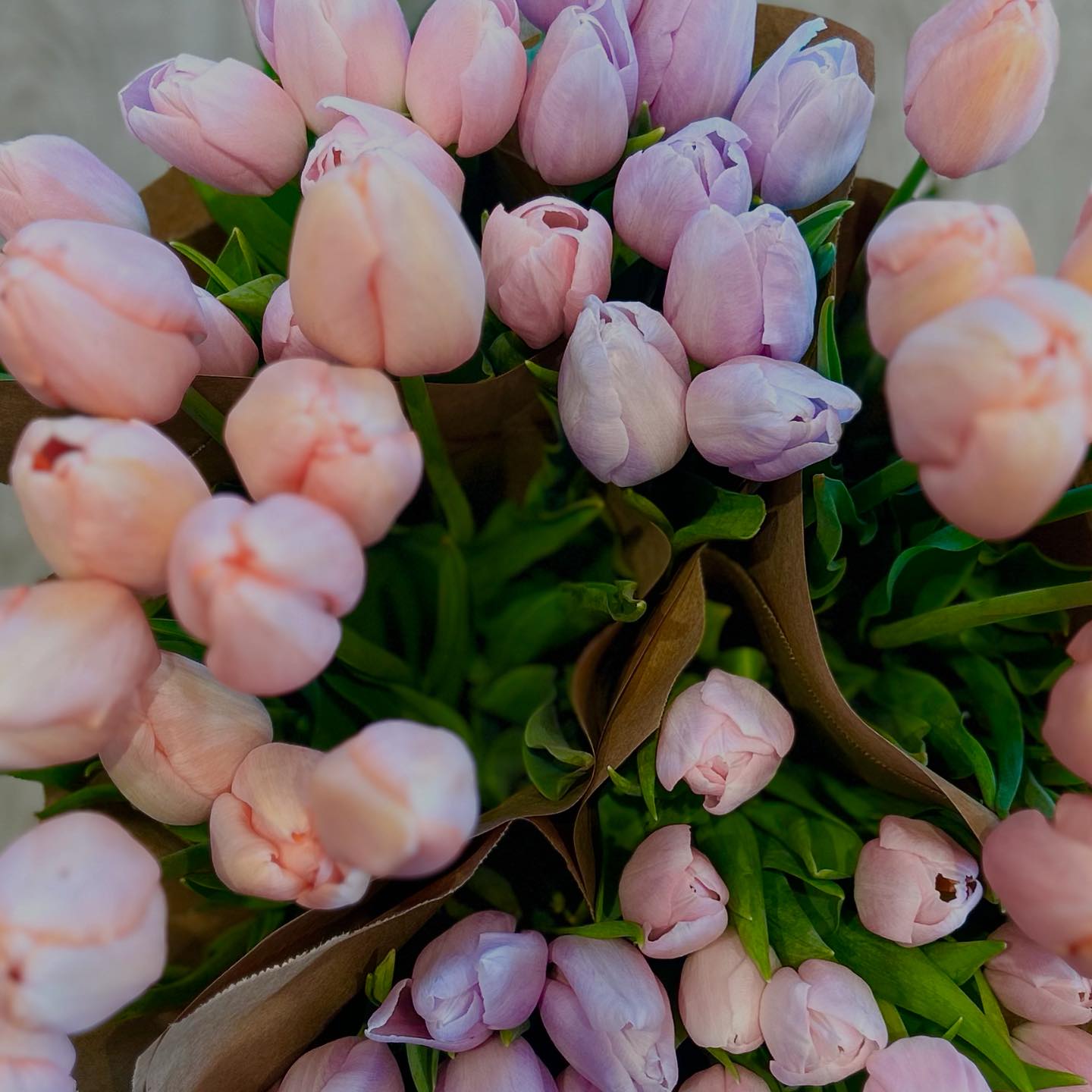 Pod Shop Flowers | New Hope PA