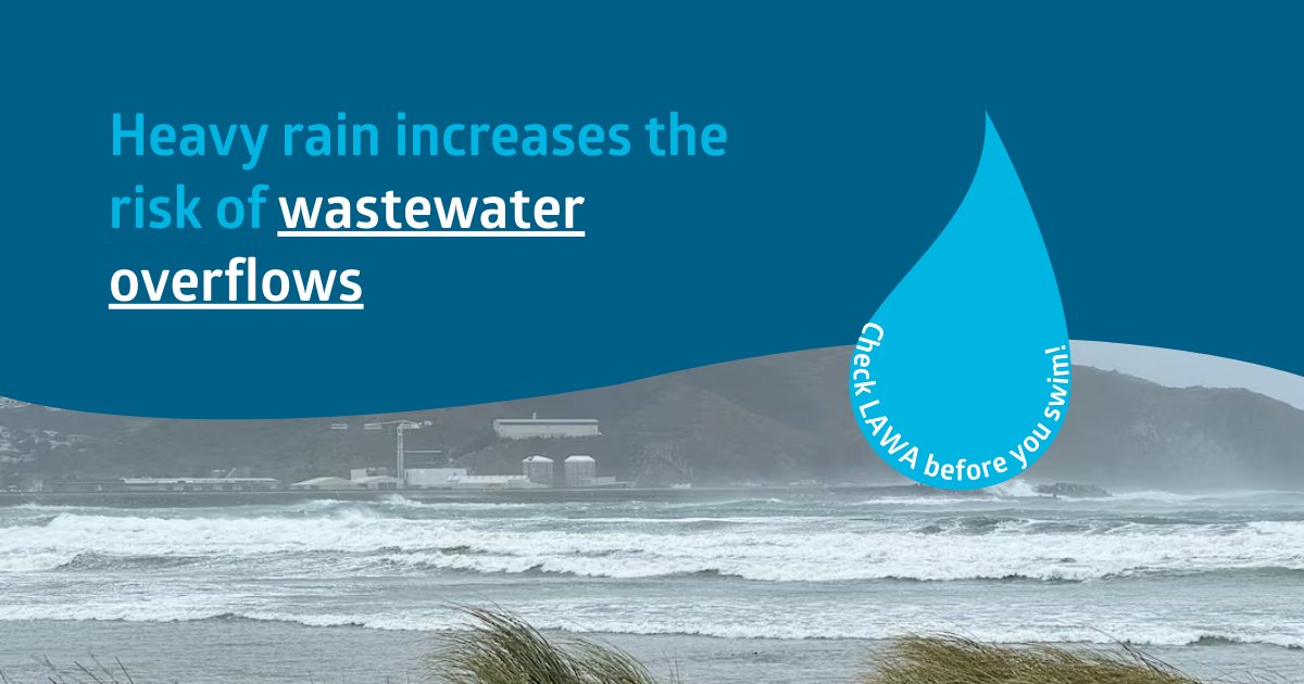 Wellington - Heavy rain like today means there's a higher risk of ...