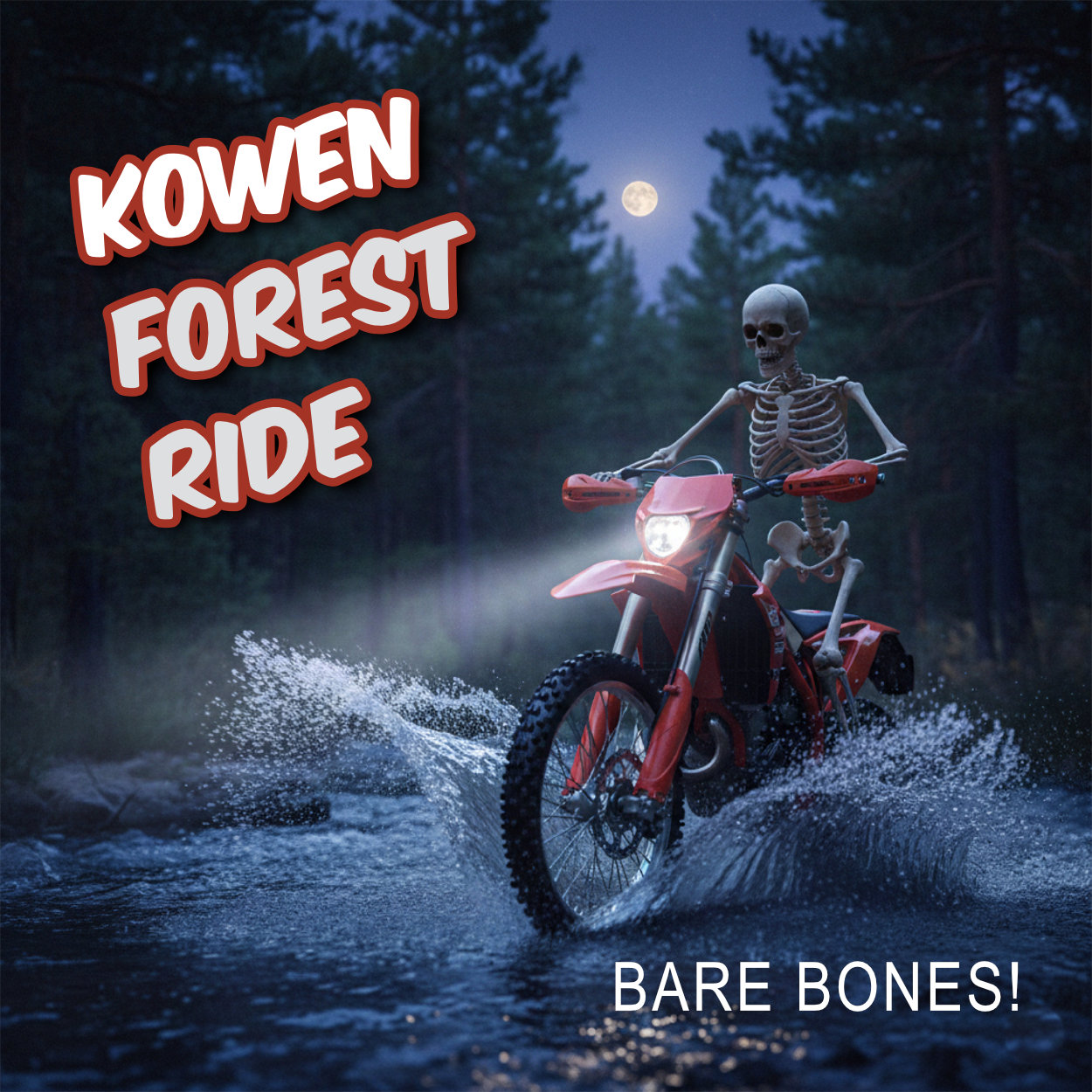 Kowen Forest Ride added a new photo. - Kowen Forest Ride