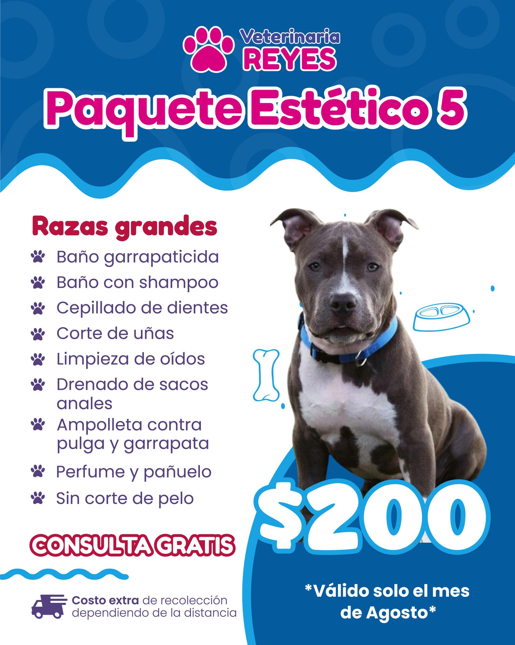 Veterinaria Reyes added a new photo. - Veterinaria Reyes