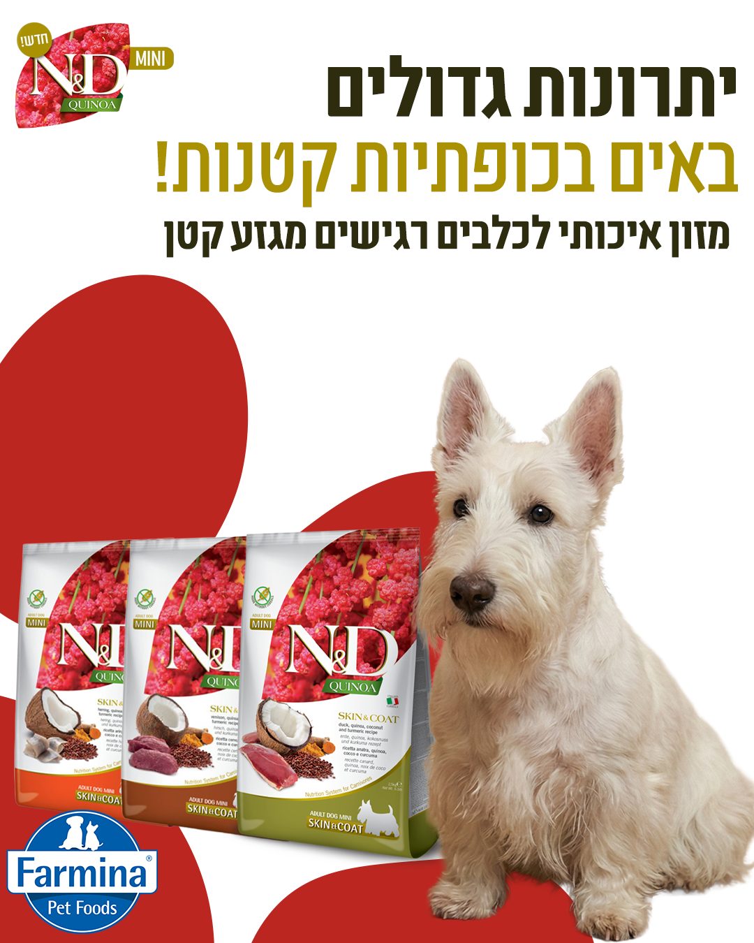 ביופט - רגישות למזון? לא על חשבון הטעם! 🐶 הכירו את סדרת N&D Quinoa Mini ...