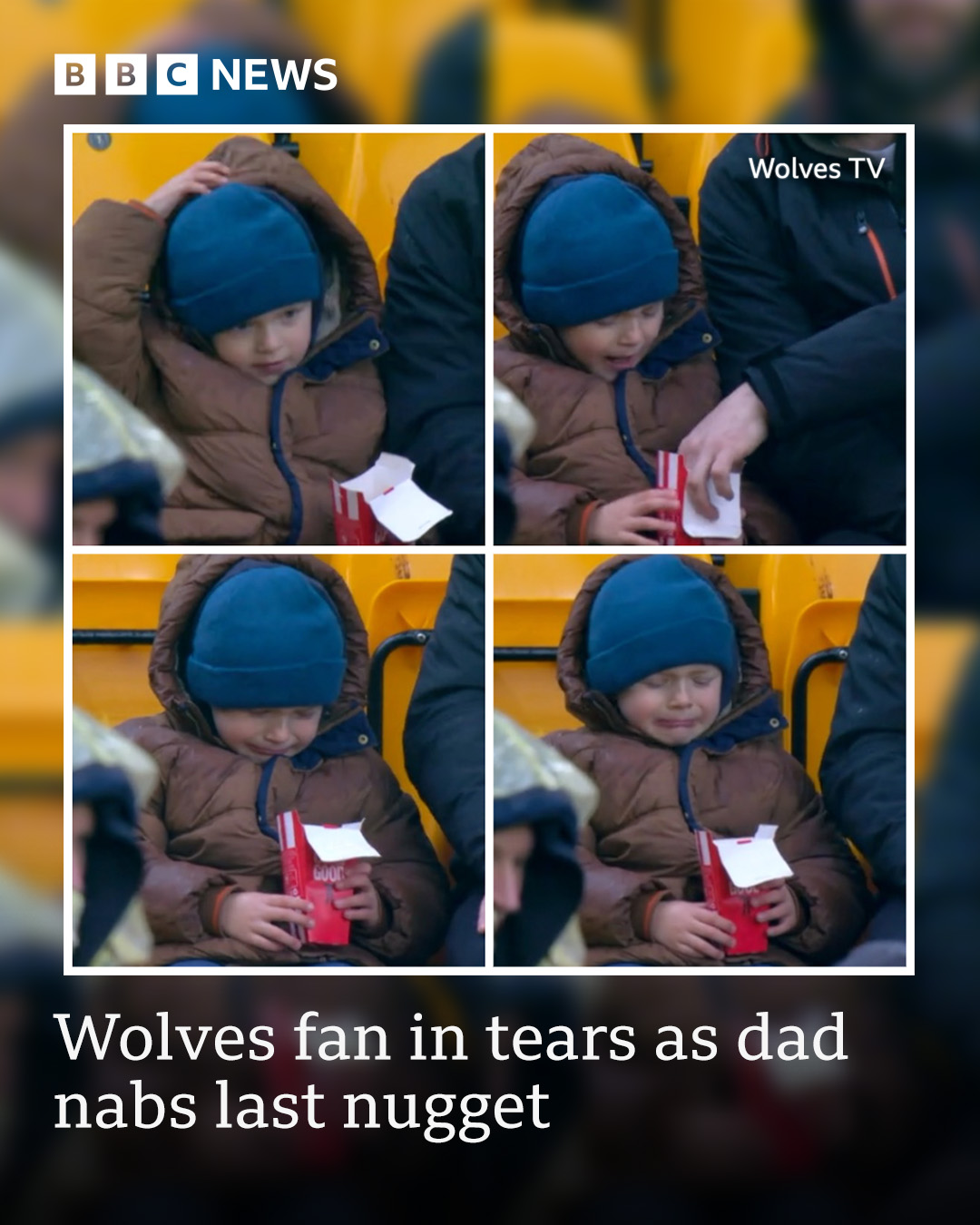 Wolves Foundation... - BBC Wolverhampton & Black Country | Facebook