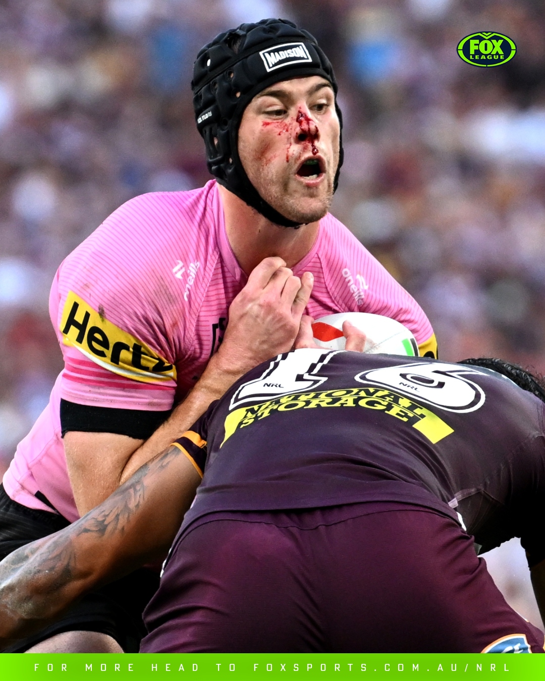 Fox League - PENRITH TO... WA? The Bears have reportedly... | Facebook