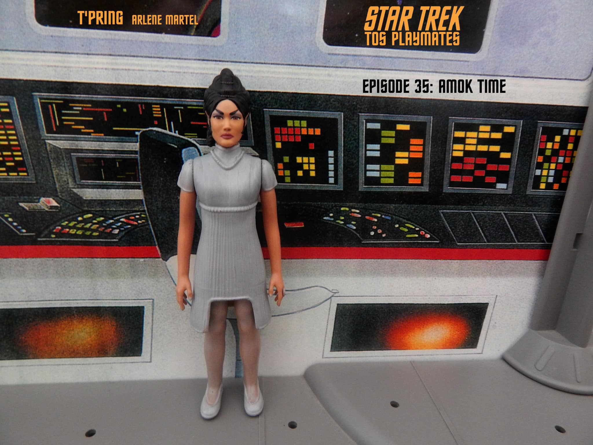 T’Pring Custom... - My Star Trek TOS Playmates Collection