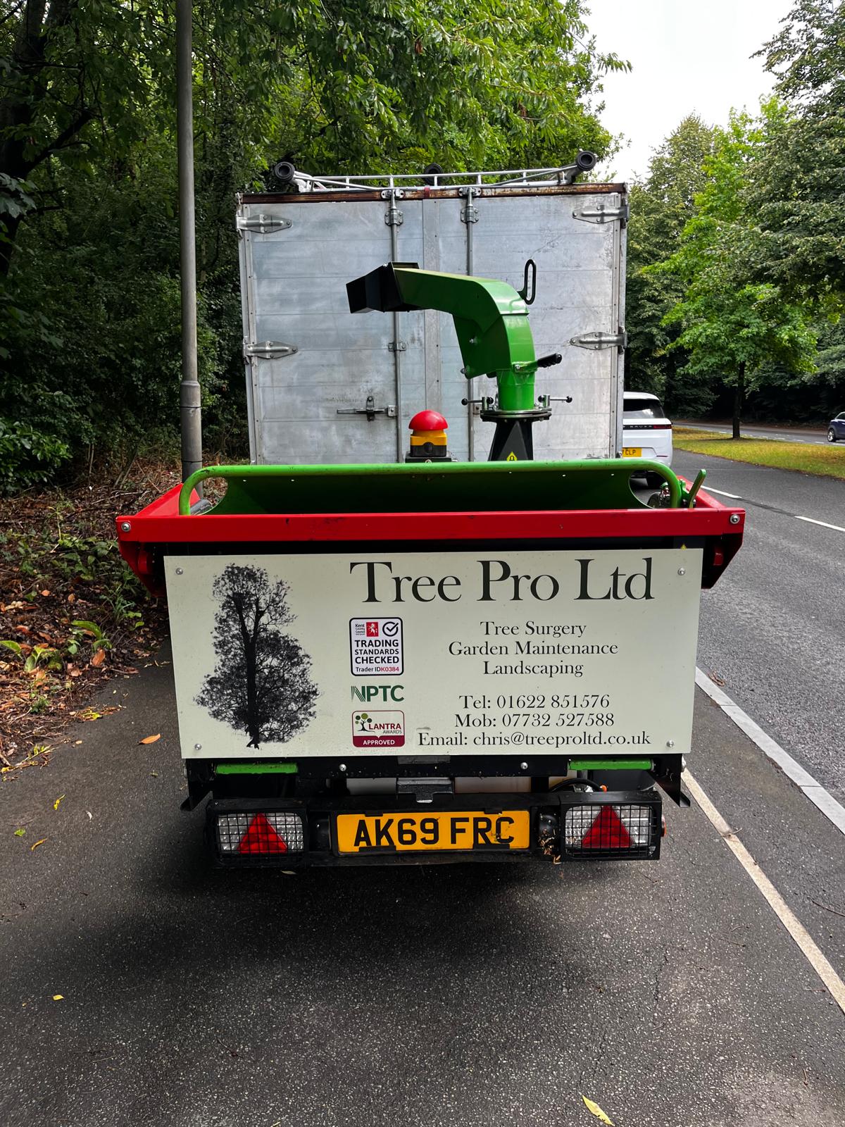 Tree Pro Ltd | Maidstone
