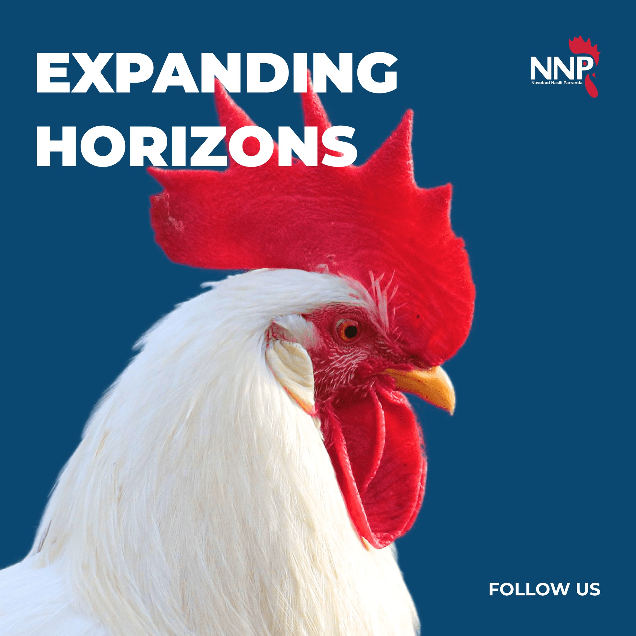 NNP Group - 🌍 NNP Group on Social Media! 🌍 🏆 The proud... | Facebook