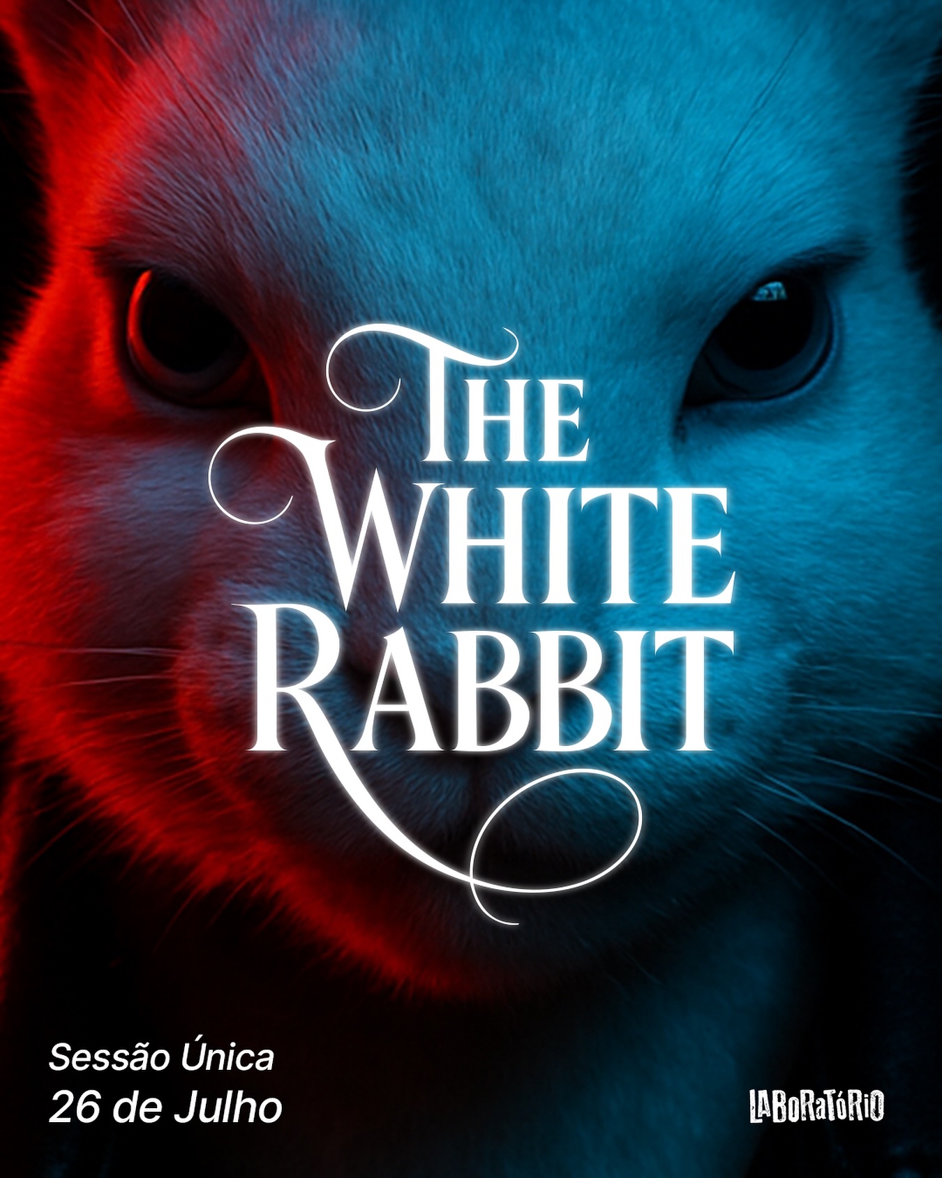 Laboratório - “THE WHITE RABBIT” Um espetáculo imersivo e onde o circo ...