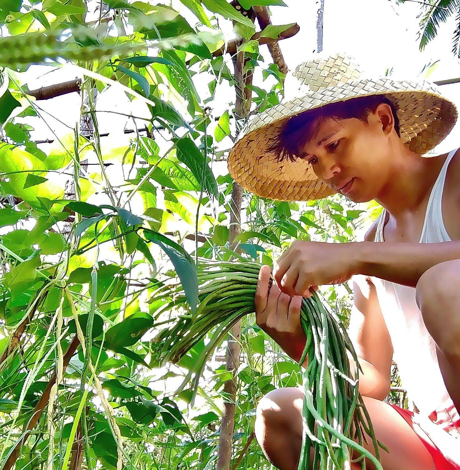Abat Tah sa garden.😊 #countryside #farmlife #pubrila | Boomboom ...