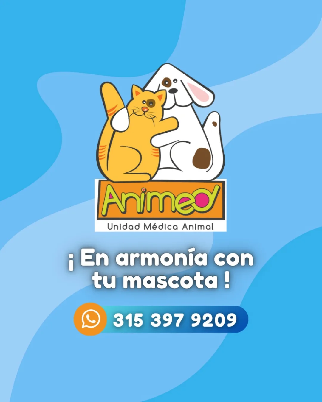 Animed Veterinaria added a new photo... - Animed Veterinaria