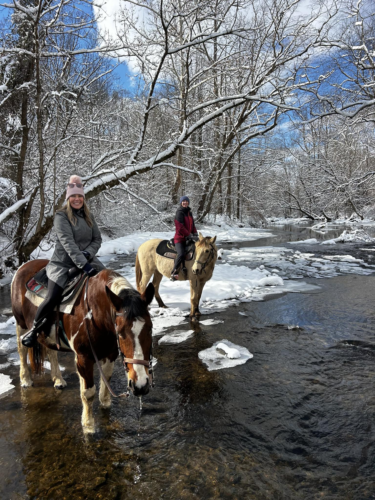 Sheeder Mill Farm | Spring City PA