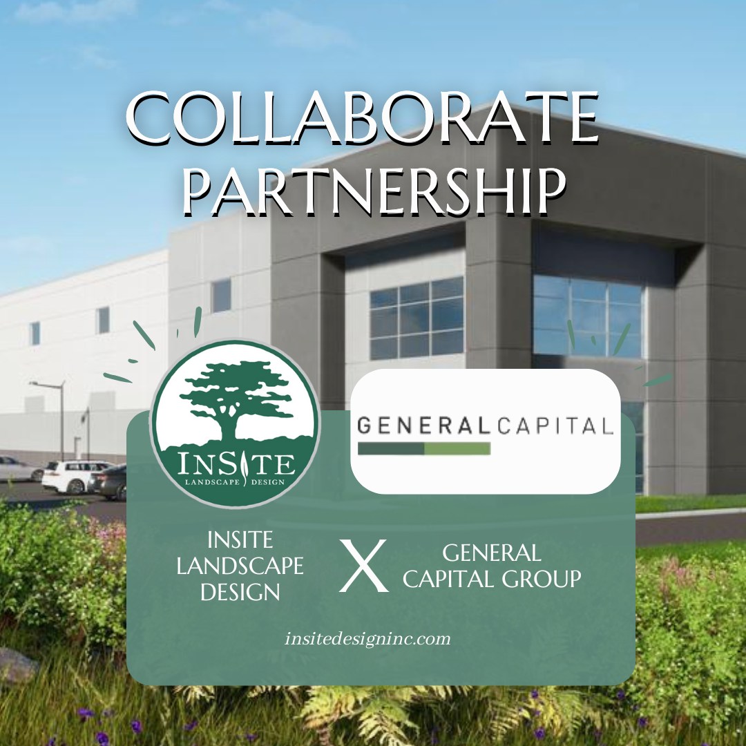 InSite Landscape Design added a... - InSite Landscape Design